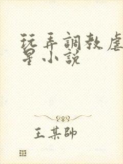 玩弄调教虐女明星小说