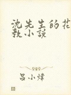 沈先生的花式管教小说