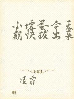 小坏蛋今天危险期快拔出来封面