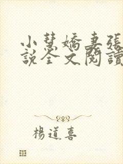 小慧娇妻张凯小说全文阅读