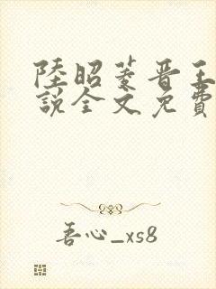 陆昭菱晋王的小说全文免费阅读