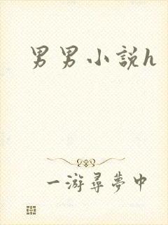 男男小说h