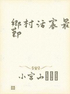 乡村活寡最新章节