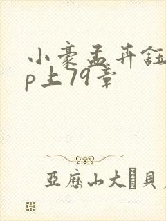 小豪孟卉钰慧三p上79章封面