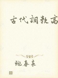 古代调教高h文