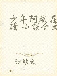 少年阿斌在线阅读 小说全文免费