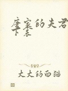 唐家的夫君们帘下衾