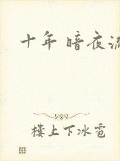 十年 暗夜流光