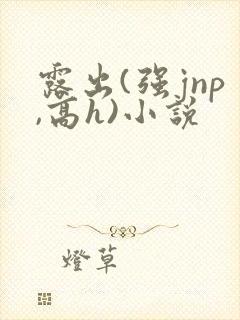 露出(强jnp,高h)小说