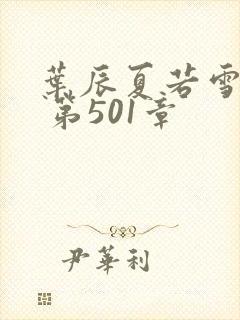 叶辰夏若雪孙怡 第501章