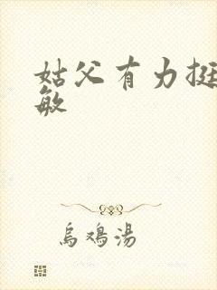 姑父有力挺送赵敏