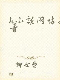 h小说网站在线看