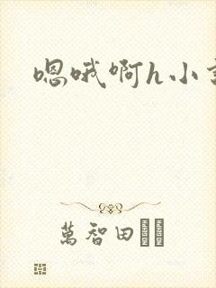 嗯哦啊h小说封面