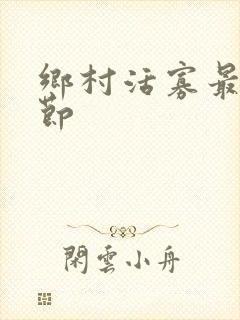 乡村活寡最新章节