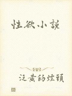 性欲小说