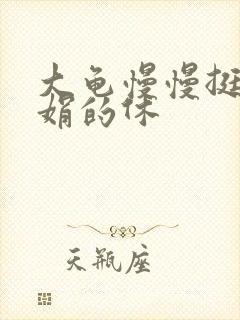 大龟慢慢挺进张娟的休封面