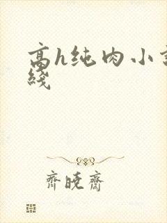 高h纯肉小说在线