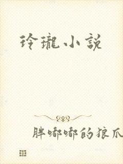 玲珑小说