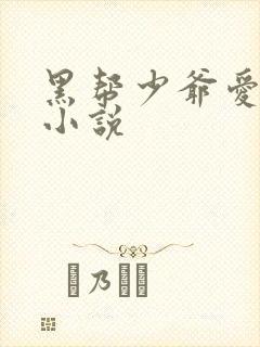 黑帮少爷爱上我小说