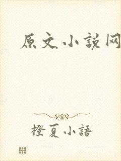 原文小说网封面