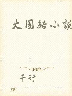 大团结小说下载