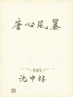 唐心风暴封面