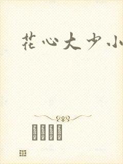 花心大少小说