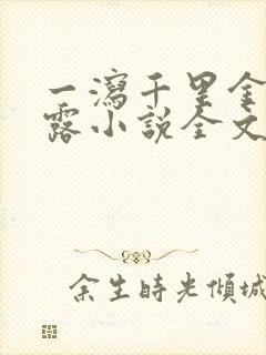 一泻千里金银花露小说全文免费阅读