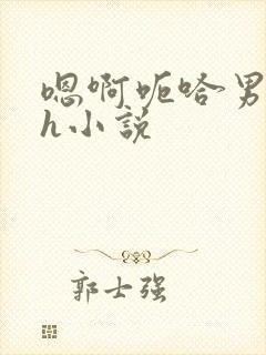 嗯啊呃哈男男高h小说封面