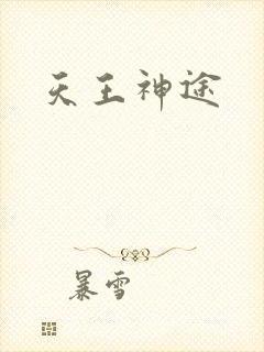 天王神途