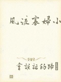 风流寡妇小说
