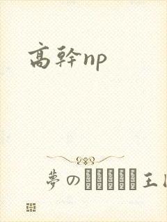 高干np