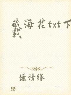 藏海花txt下载封面
