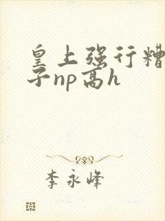 皇上强行糟蹋太子np高h