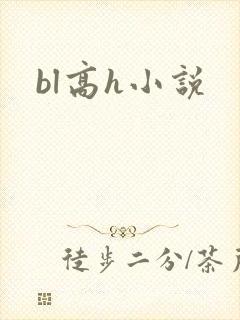 bl高h小说