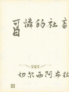 可怜的社畜东度日