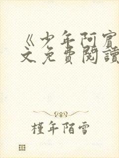 《少年阿宾》全文免费阅读