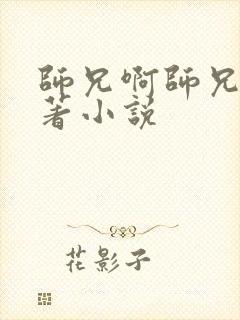 师兄啊师兄的原著小说封面