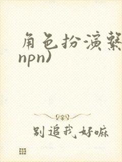 角色扮演系统(npn)