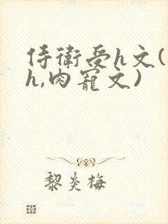 侍卫受h文(高h,肉宠文)