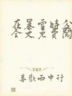 在暴雪时分小说全文免费阅读封面