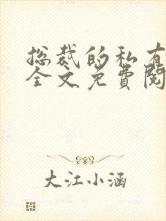 总裁的私有宝贝全文免费阅读