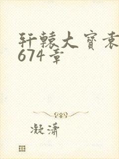 轩辕大宝袁雪妃674章