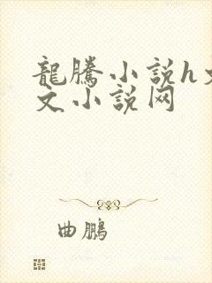 龙腾小说h文辣文小说网