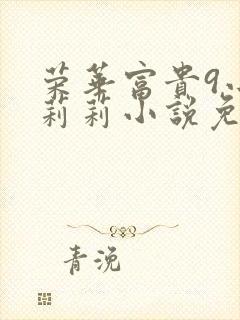 荣华富贵9小王莉莉小说免费阅读