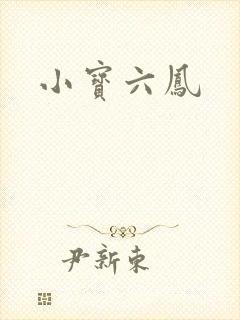 小宝六凤封面