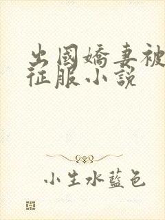 出国娇妻被黑人征服小说封面