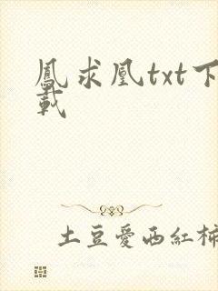 凤求凰txt下载
