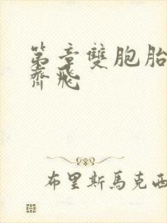 第章双胞胎姐妹齐飞