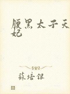 腹黑太子天降萌妃